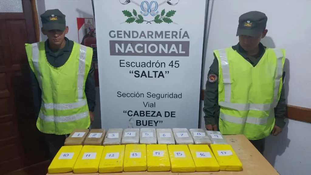 Salta: incautan más de 18 kilos de cocaína en dos operativos sobre las rutas 9 y 34