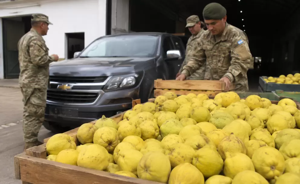 Membrillos por repuestos: el Ejército intercambia toneladas de frutas por piezas para arreglar una camioneta