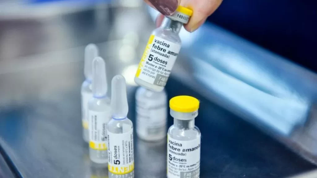 Refuerzan la vacunación contra la fiebre amarilla en Salta tras un brote detectado en Bolivia