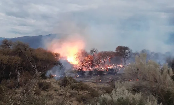 El incendio en Cafayate ya arrasó cerca de 200 hectáreas y temen que el operativo se extienda por semanas