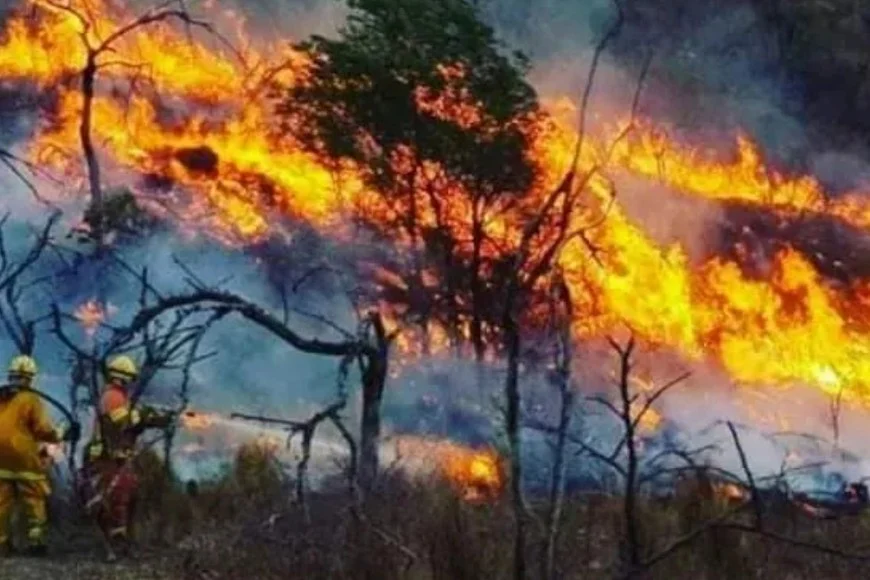 Alerta por vientos y riesgo muy alto de incendios forestales en Salta: piden extremar los cuidados