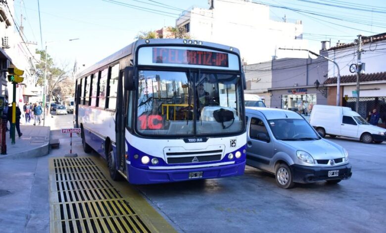 Argentina vs. Suiza: SAETA no modificará el servicio de colectivos por el partido del Mundial