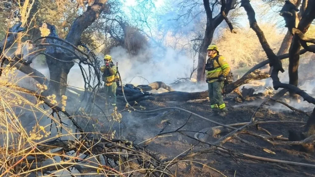 Salta se prepara para una jornada crítica por el riesgo de incendios