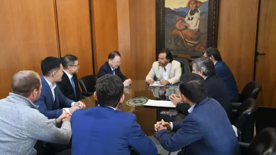 Ganfeng Lithium prepara una nueva expansión en Salta y proyecta producir hasta 200.000 toneladas de litio al año