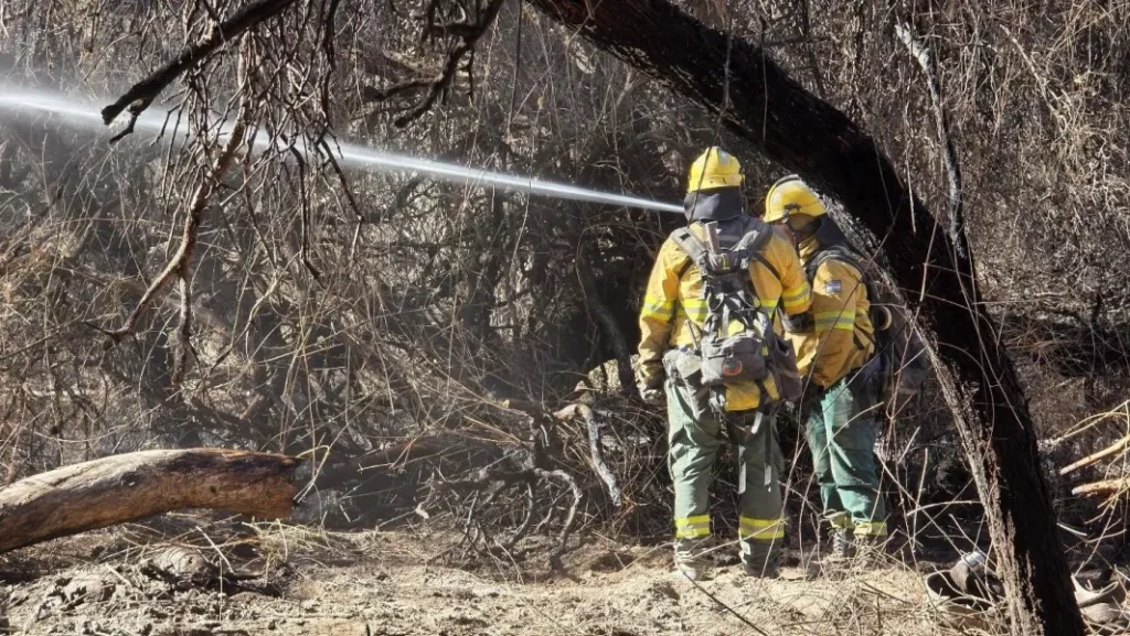 Incendios en Salta: Capital y Tartagal están en nivel extremo y hay un foco activo en Cafayate
