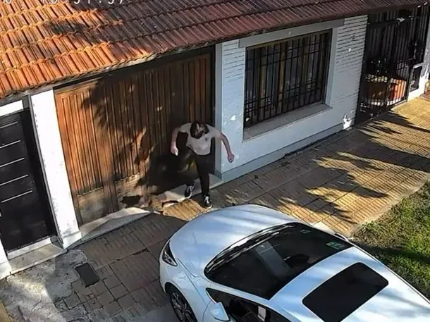 Indignante: un adolescente le pisó la cabeza a una gatita en Temperley