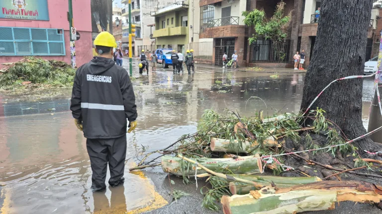Hubo seis intervenciones por ramas, cables y postes caídos